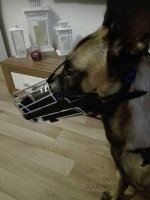 Dog Muzzle for Belgian Malinois Training and Work_6