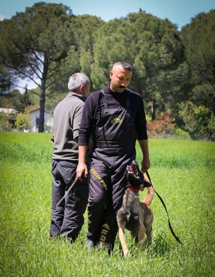 Super Comfortable Protective Scratch Pants for Dog Training