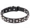 "The Starry Arch" Incredibly Decorated Leather Dog Collar