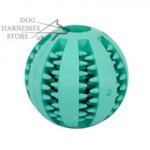Dental Dog Ball with Mint Flavor for Oral Care and Chewing
