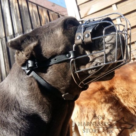 Wire Dog Muzzle UK Universal for Every Breed Walking, Training