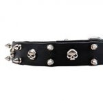 Heavy Metal Dog Collar Leather with Skulls & Two Rows of Spikes