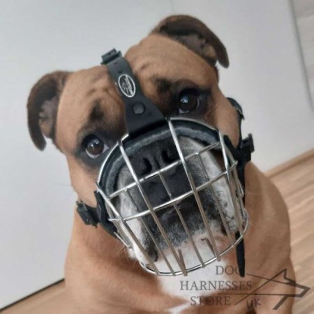 Wire Dog Muzzle UK Universal for Every Breed Walking, Training