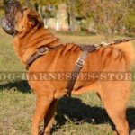Shar-Pei Dog Harness Light-Weight for Long Walking and Tracking