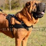 Dog Harness for Shar-Pei Tracking, Pulling and Physical Training