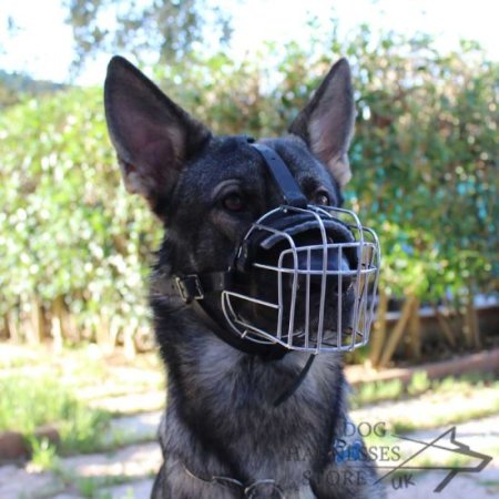 Wire Dog Muzzle UK Universal for Every Breed Walking, Training