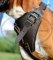 Attack, Agitation Leather Dog Harness for German Boxer