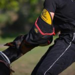 Bite Sleeve for Dobermann IGP Training Light-Weighted