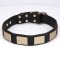 Quality Dog Collar of Selected Leather - Gorgeous Design