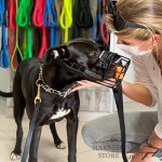Basket Dog Muzzle Covered by Black Rubber, UK_9