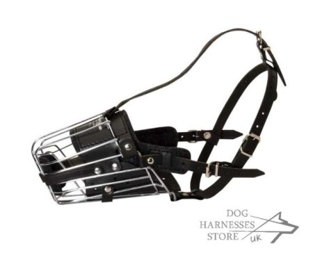 Dog Muzzle for Belgian Malinois Training and Work