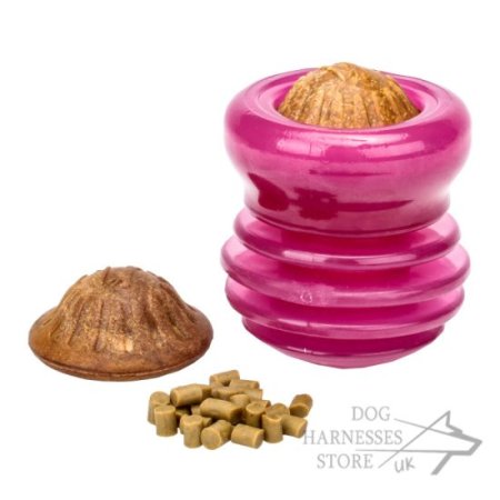 Starmark Everlasting Groovy Ball Dog Chew Toy of Large Size