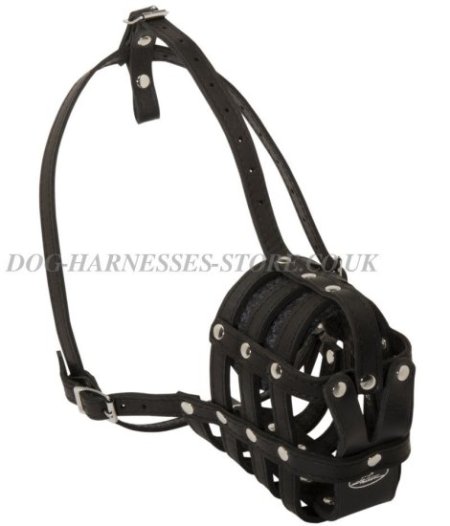 Bestseller! Leather Muzzle for Doberman Walking and Training