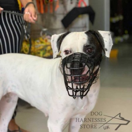 Basket Dog Muzzle Covered by Black Rubber, UK