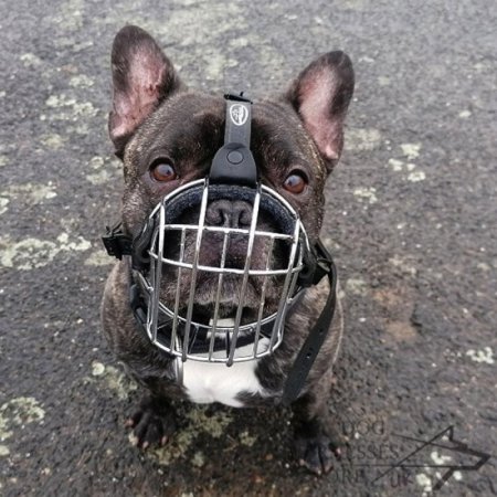 Wire Basket Dog Muzzle For Small Breeds