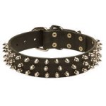 Leather Dog Collar with Three Rows of Cool Glossy Nickel Spikes