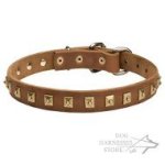 Leather Dog Collar with Square Brass Studs UK, Elegant Design