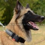Tervuren Collar, ID Patches and Easy to Release Buckle, Nylon