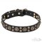 Dog Walking Collar Leather with Round Brass Plates and Studs