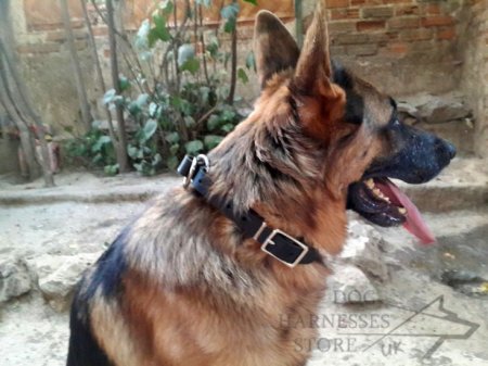 Dog Control Collar, Leather Choker for Canine Obedience