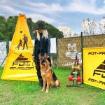 IGP Blind for Dog Training and Professional Sports_13