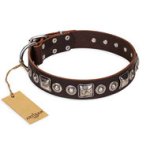 Brown Leather Dog Collar FDT Artisan "Pierian Spring"