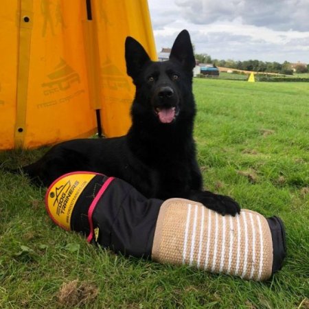 German Shepherd IGP Training Sleeve with Jute Cover