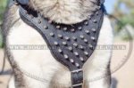 Spiked Leather Dog Harness for Husky Walking, Stylish Design