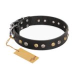 Black Leather Dog Collar with Studs "Jewelry Peas" FDT Artisan