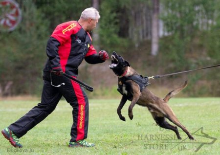 Secure Dog Training Protective Suit from Dirt and Scratches