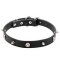 Leather Skull Dog Collar with Spikes in Gothic Style for Walks