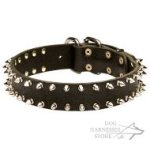 Leather Dog Collar with Two Rows of Nickel-Plated Shiny Spikes