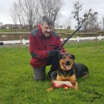 Pro Dog Training Stick for IGP, Agitation and Attack_1