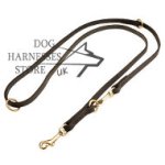 Bestseller! Long Leather Lead, Hands-Free Dog Leash