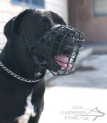 Basket Dog Muzzle Covered by Black Rubber, UK_2