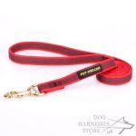 Quality Nylon Dog Leash with Nonslip Rubber Lines, Red Color_1