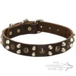 Leather Dog Collar with Brass Studs and Nickel-Plated Pyramids