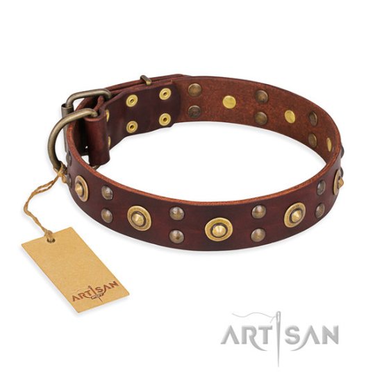 Brown Leather Studded Dog Collar "Caprice of Fashion" by Artisan