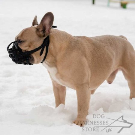 French Bulldog Dog Muzzle of Leather with Free Airflow