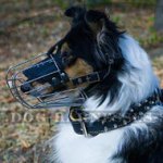 Collie Dog Muzzle for Comfortable and Safe Walking and Training