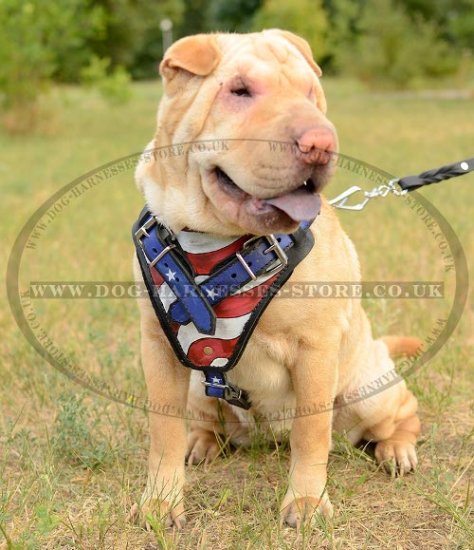 Shar-Pei Harness Leather with American Pride Hand Painting