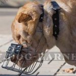 Shar-Pei Muzzle of Wire Cage for Daily Walking and Training