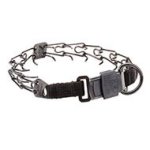Make Your Naughty Dog Obedient In Safe Way with Prong Collar UK