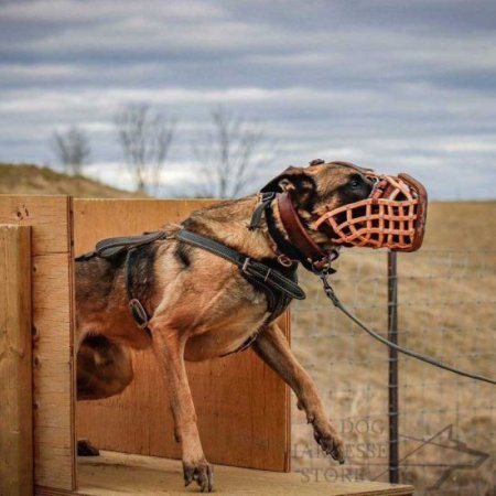 Police Leather Basket Dog Muzzle, Top Quality!