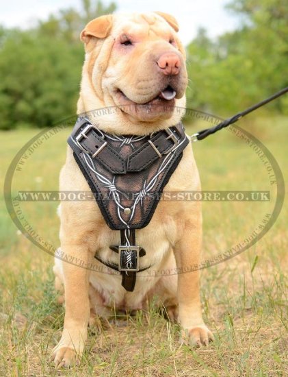 Shar-Pei Harness Leather with Barbed Wire Hand Painting