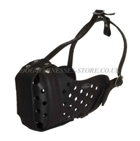 Boerboel Muzzle of Durable Leather for Agitation Training