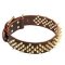 Leather Dog Collar with Waves of Sparkling Brass Barbs "Stinger"