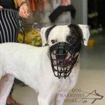 Basket Dog Muzzle Covered by Black Rubber, UK_12