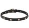 Newfangled Thin Leather Dog Collar Studded with Brass Pyramids