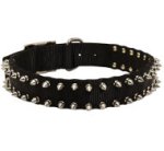 Spiked Dog Collar of Nylon for Walking, Two Rows of Barbs